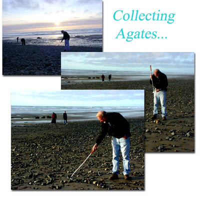 Richard the co-author of AGATES OF THE OREGON COAST beach combing with the NEW shell & gem scoop!