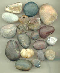 Sample photo showing an assortment of rough agates and jaspers as found on the beaches at Newport - Click here to see our smiling polished faces.