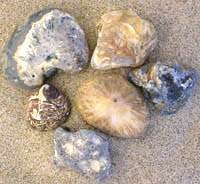 Sample photo of rough sagenite agates as found on the beach winter 1998-2000